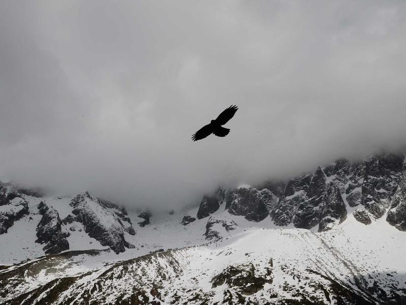 金瓶梅外史<br>bcxjjkz.cn 市井繁华录
